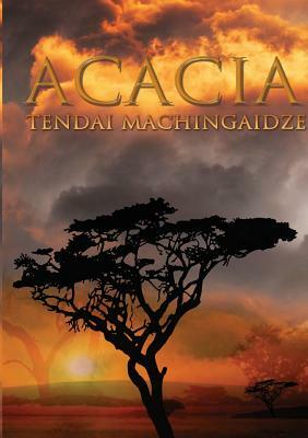 Acacia by Tendai Machingaidze