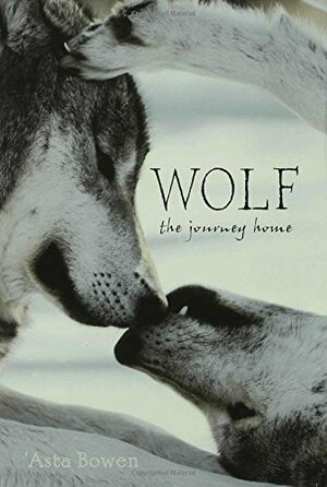 Wolf: The Journey Home by Asta Bowen