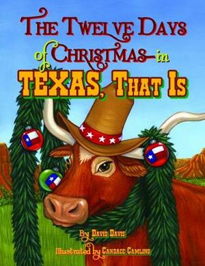 The Twelve Days of Christmas--In Texas, That Is by David Davis