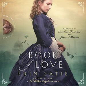 Book of Love by Erin Satie