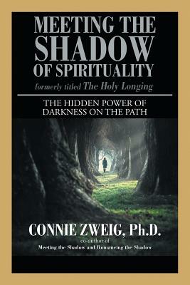 Meeting the Shadow of Spirituality: The Hidden Power of Darkness on the Path by Connie Zweig