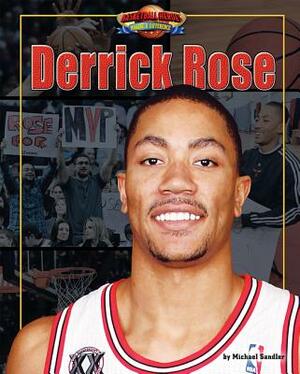 Derrick Rose by Michael Sandler