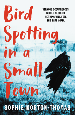 Bird Spotting in a Small Town by Sophie Morton-Thomas