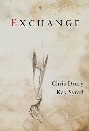 Exchange by Chris Drury, Kay Syrad