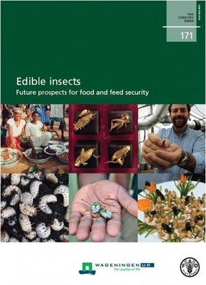 Edible Insects: Future Prospect for Food and Feed Security by Food and Agriculture Organization of the United Nations