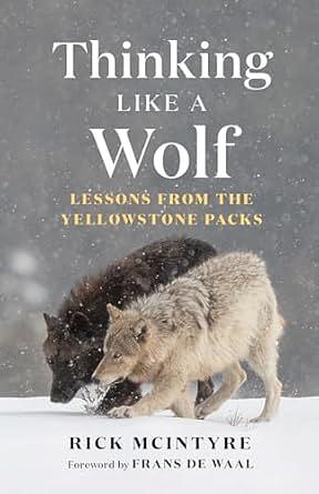 Thinking Like a Wolf: Lessons from the Yellowstone Packs by Rick McIntyre