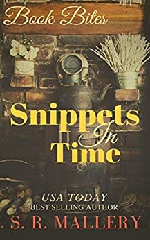Snippets In Time by S.R. Mallery
