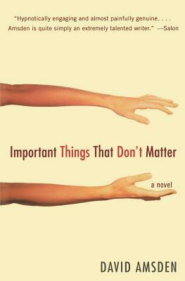 Important Things That Don't Matter: A Novel by David Amsden