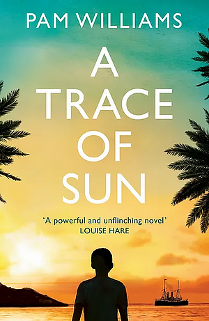 A Trace of Sun: Longlisted for the Women's Prize for Fiction 2024 by Pam Williams