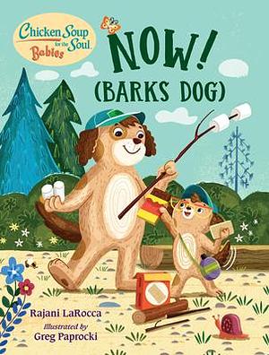 Chicken Soup For the Soul BABIES: Now! by Rajani LaRocca, Greg Paprocki