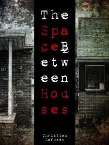 The Space Between Houses by Christian Laforet