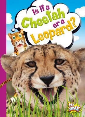 Is It a Cheetah or a Leopard? by Gail Terp