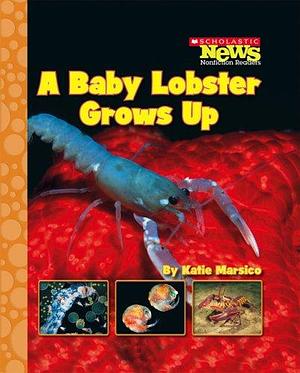 A Baby Lobster Grows Up by Katie Marsico