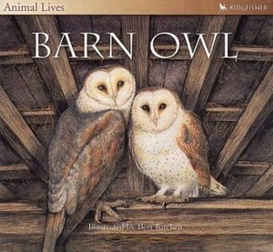 Barn Owl (Animal Lives) by Sally Tagholm, Bert Kitchen