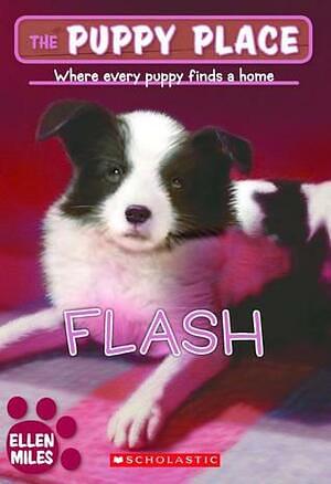 Flash by Ellen Miles