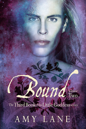 Bound, Vol. 2 by Amy Lane