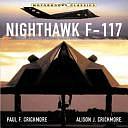 Nighthawk F-117 Stealth Fighter by Paul Crickmore, Paul F. Crickmore, Alison J. Crickmore