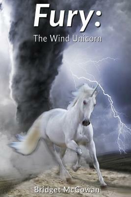 Fury: The Wind Unicorn by Bridget McGowan