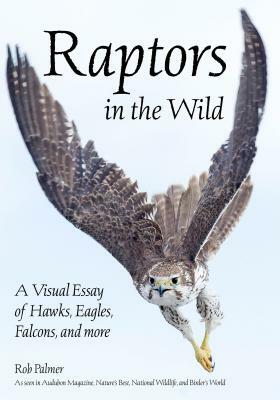 Raptors in the Wild: A Visual Essay of Hawks, Eagles, Falcons and More by Rob Palmer