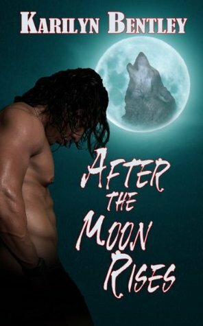 After the Moon Rises by Karilyn Bentley