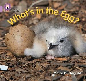 What's in the Egg? by Moira Butterfield