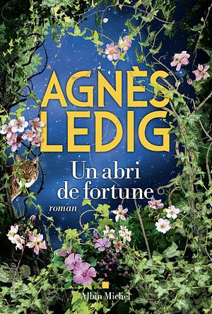 Un abri de fortune by Agnès Ledig