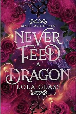 Never Feed a Dragon by Lola Glass