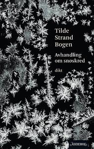 Avhandling om snøskred by Tilde Strand Bogen