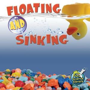Floating and Sinking by Amy S. Hansen