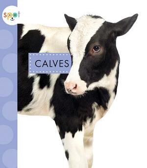 Calves by Anastasia Suen