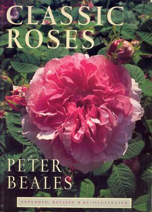 Classic Roses by Peter Beales