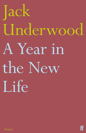 A Year in the New Life by Jack Underwood