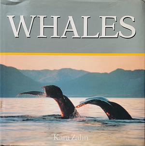 Whales by Kara Zahn