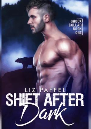 Shift After Dark by Elizabeth Otto, Elizabeth Otto, Liz Paffel