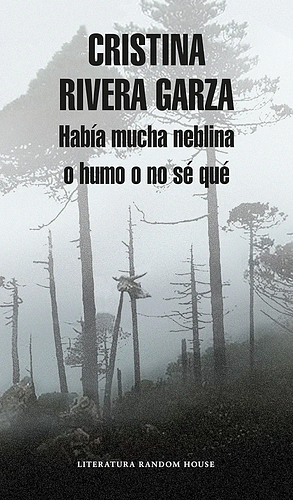 Había mucha neblina o humo o no sé qué: Caminar con Juan Rulfo by Cristina Rivera Garza