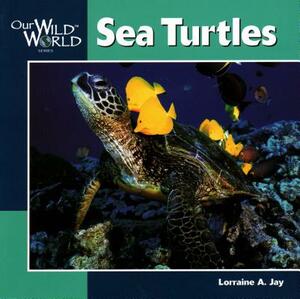 Sea Turtles by Lorraine A. Jay