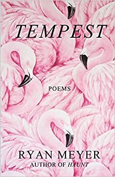 Tempest: Poems by Ryan Meyer