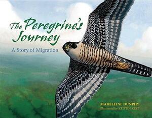 The Peregrine's Journey: A Story of Migration by Madeleine Dunphy