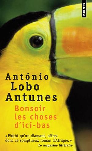 Bonsoir les choses d'ici bas by António Lobo Antunes