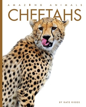 Cheetahs by Kate Riggs