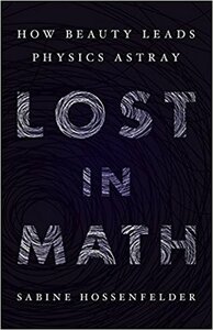 Lost in Math: How Beauty Leads Physics Astray by Sabine Hossenfelder