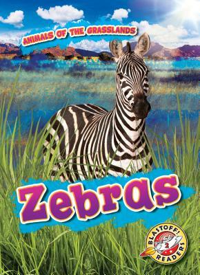 Zebras by Kaitlyn Duling