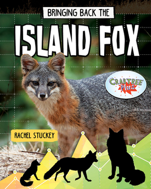 Bringing Back the Island Fox by Rachel Stuckey