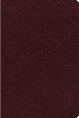 NIV, Biblical Theology Study Bible, Bonded Leather, Burgundy, Indexed, Comfort Print: Follow God's Redemptive Plan as It Unfolds Throughout Scripture by 