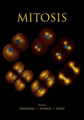 Mitosis by 