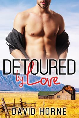 Detoured by Love by David Horne