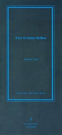 I Go To Some Hollow by Amina Cain