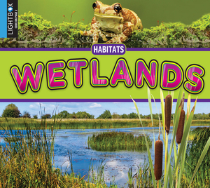 Wetlands by John Willis