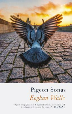 Pigeon Songs by Eoghan Walls