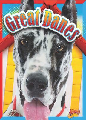 Great Danes by Christa C. Hogan